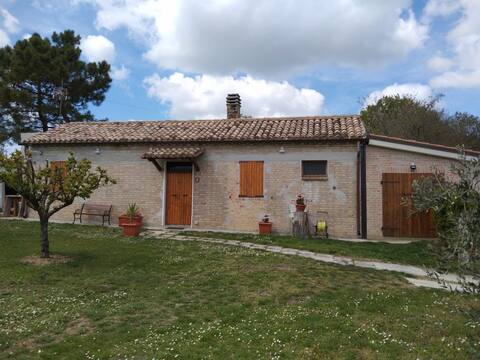 A peaceful corner 10 minutes from the sea...