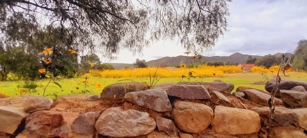 A rustic stone wall frames a vibrant landscape. Wildflowers in bright hues of yellow and orange are visible in a lush green field, stretching toward distant mountains under an overcast sky. The scene conveys a sense of natural beauty and tranquility.