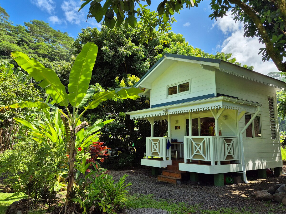 A charming bungalow is surrounded by lush tropical vegetation. The structure features a light-colored exterior, a covered porch with white railings, and large windows that invite natural light. Green banana plants and colorful foliage create a serene atmosphere in the garden.