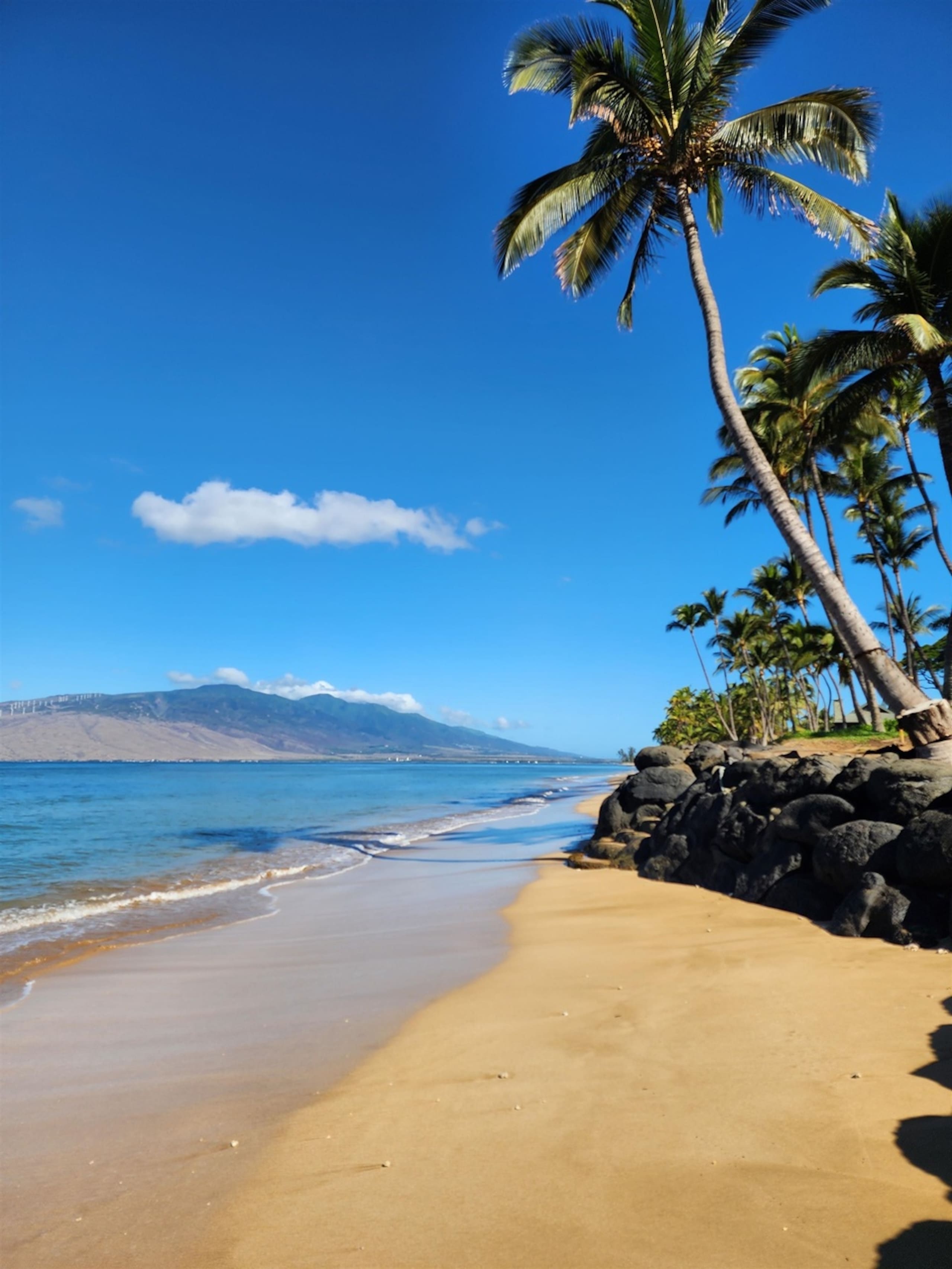 Let's Do Sunset On Maui! 1 Minute Walk to Beach - Image 26