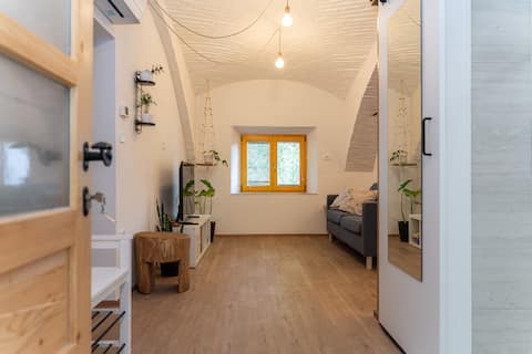 Popular Airbnb listing: Timeless Barn-Sparrow apartment in Ljubljana