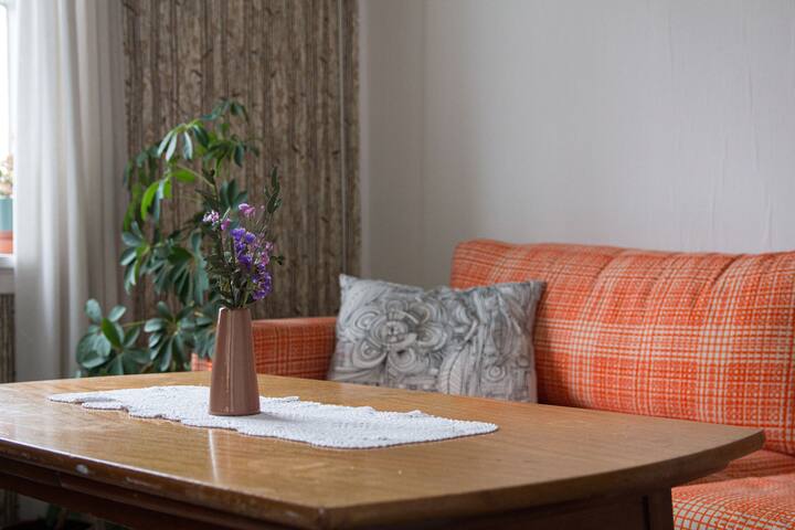 סלון.
תמונה: קאטינקה הלנד