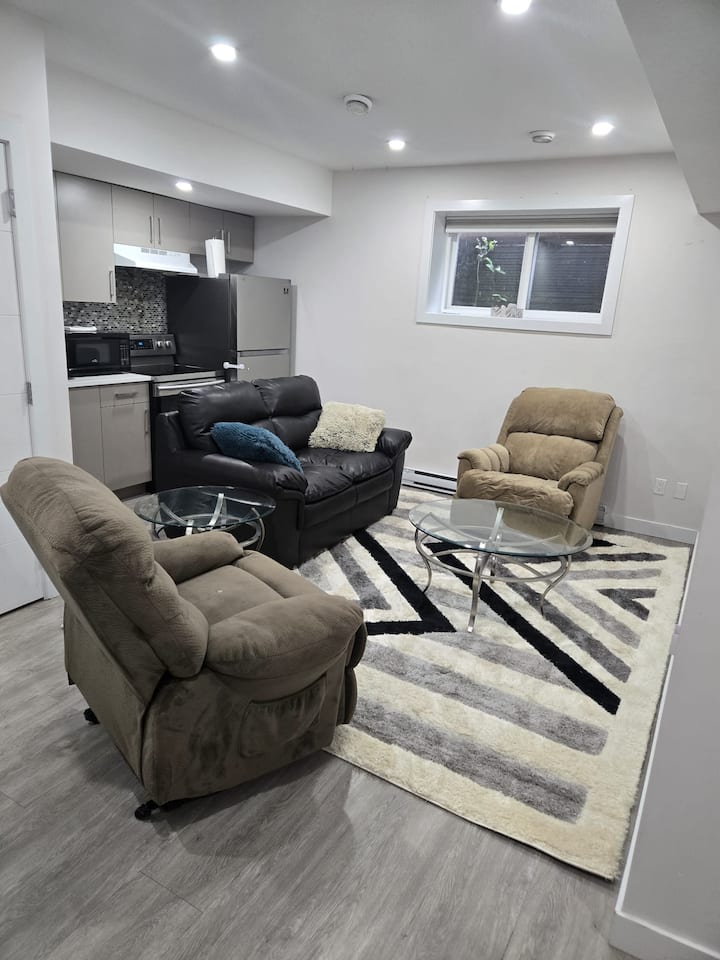 Modern 1 Br In Edmonton Dt W/wifi, Pet Friendly - Edmonton