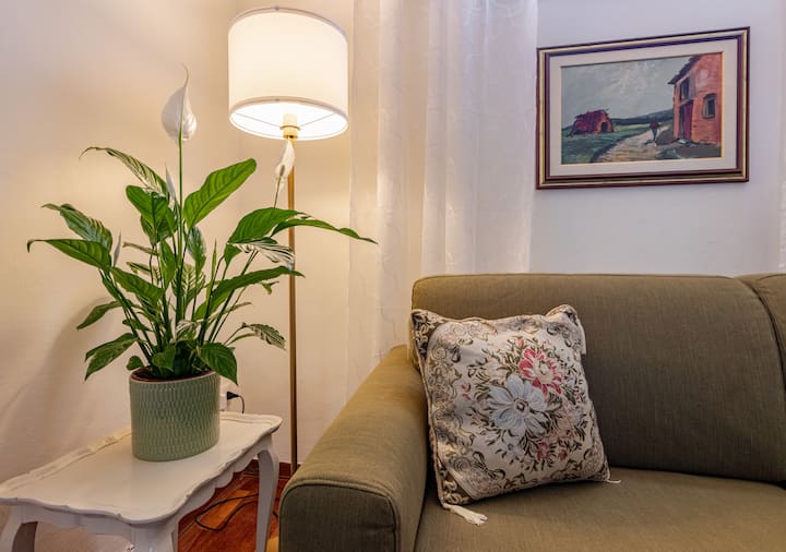 Hostly-san Giuseppe Luxury Apartment-by The Tower - Pisa