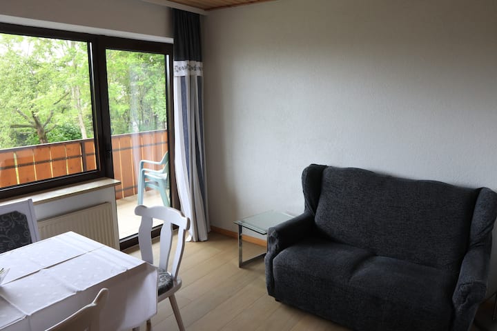 Ferienwohnung Feldberg - Grafenhausen