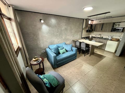 Popular Airbnb listing: Apartment in downtown Mendoza in Mendoza