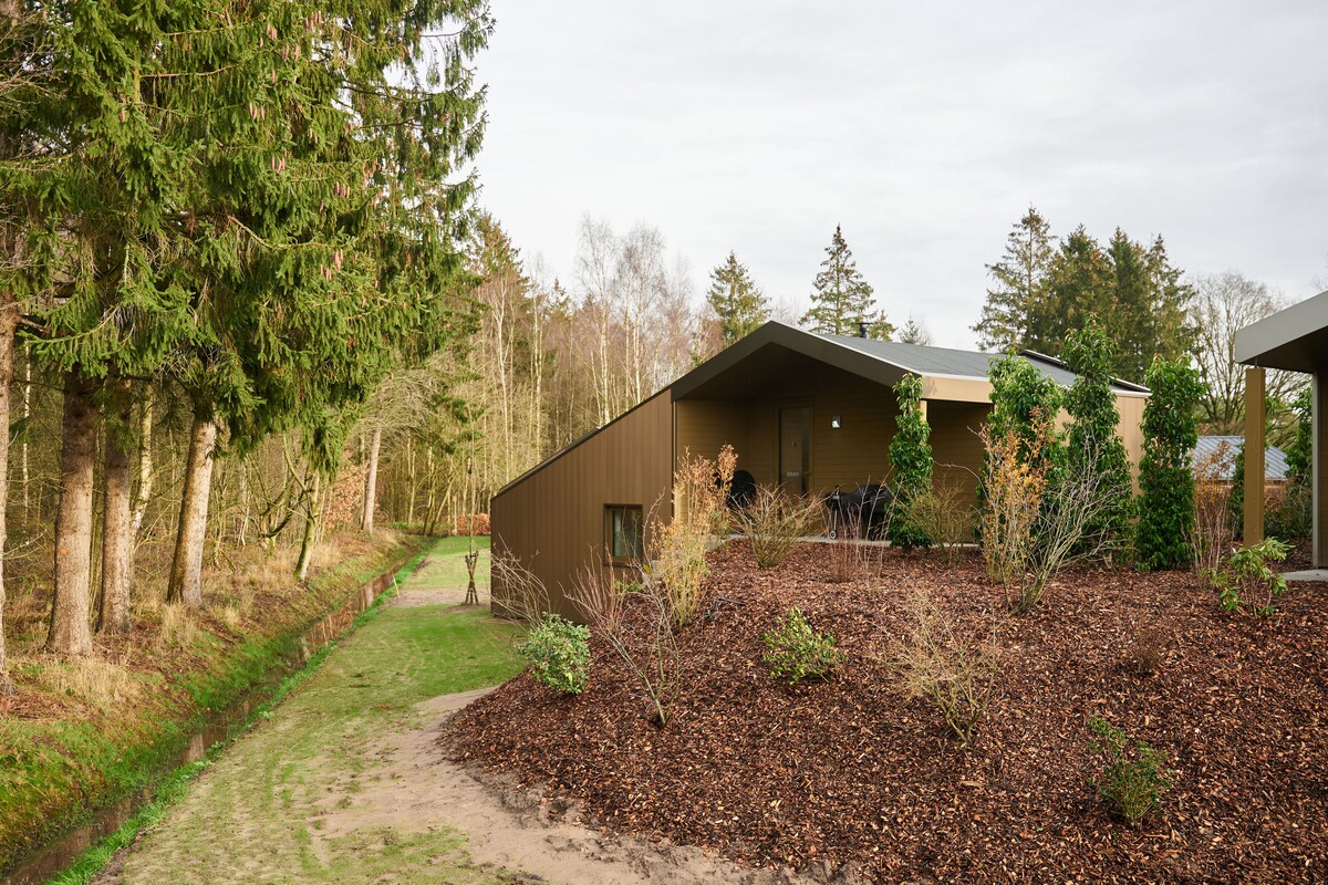 The exterior of the architecturally designed house is visible, showcasing a modern structure with a sloping roof. Surrounding landscaping includes low bushes and a gravel path leading to the entrance, set against a backdrop of trees and natural greenery.