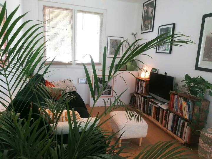 Maison Cèdre Toulouse - Tolosa, Francia