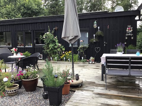 The room the forrest