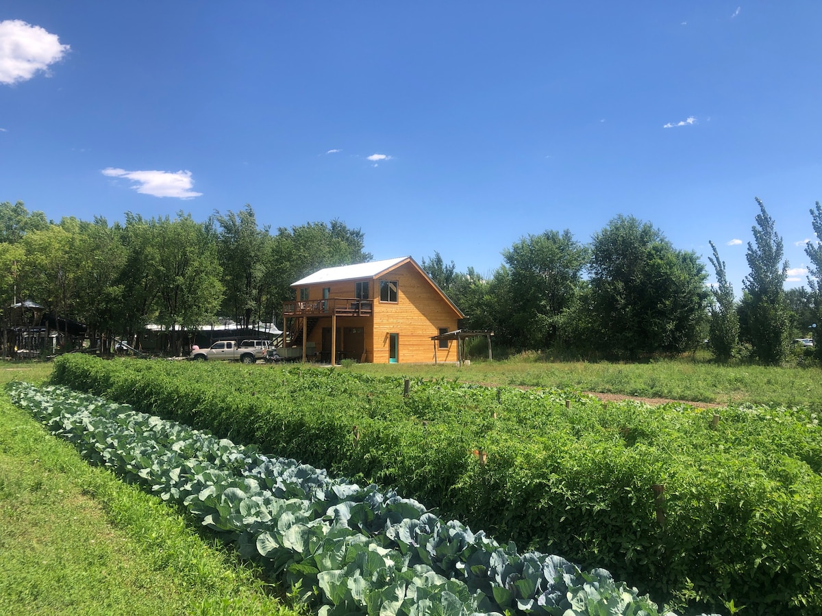 A charming guesthouse made of wooden materials sits amidst vibrant green fields. Rows of lush crops stretch across the foreground, while a clear blue sky frames the scene. Thriving trees are positioned nearby, creating a serene rural ambiance.