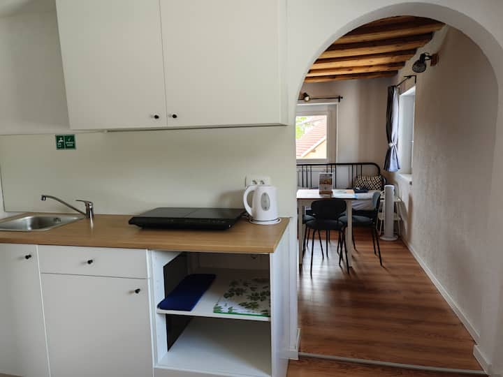 Cozy Apartment, Near Bled - Bled
