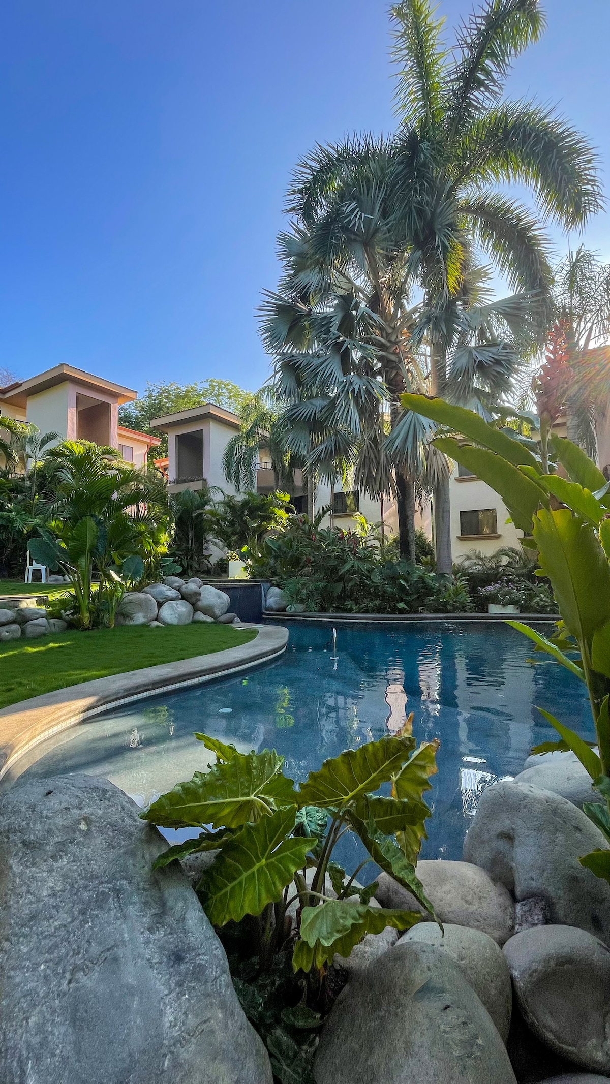 A tranquil pool area is surrounded by lush tropical plants and decorative rocks, providing a serene environment. The building structure can be seen in the background, framed by palm trees under a clear blue sky.