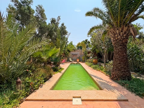 Ali Menouar’s Artist’s House – Nature Oasis