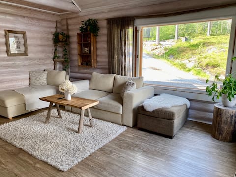 Successful Airbnb property: Villa on Lake Saimaa, private beach. in Etelä Savo