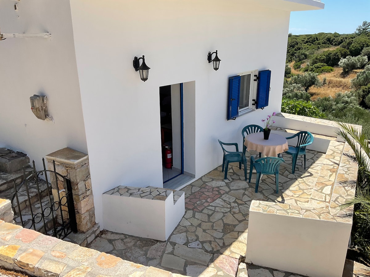 An outdoor seating area is situated on a stone-paved terrace, featuring a round table surrounded by teal chairs. The entrance to the house is visible, along with windows adorned with blue shutters, providing a welcoming view of the surrounding greenery.