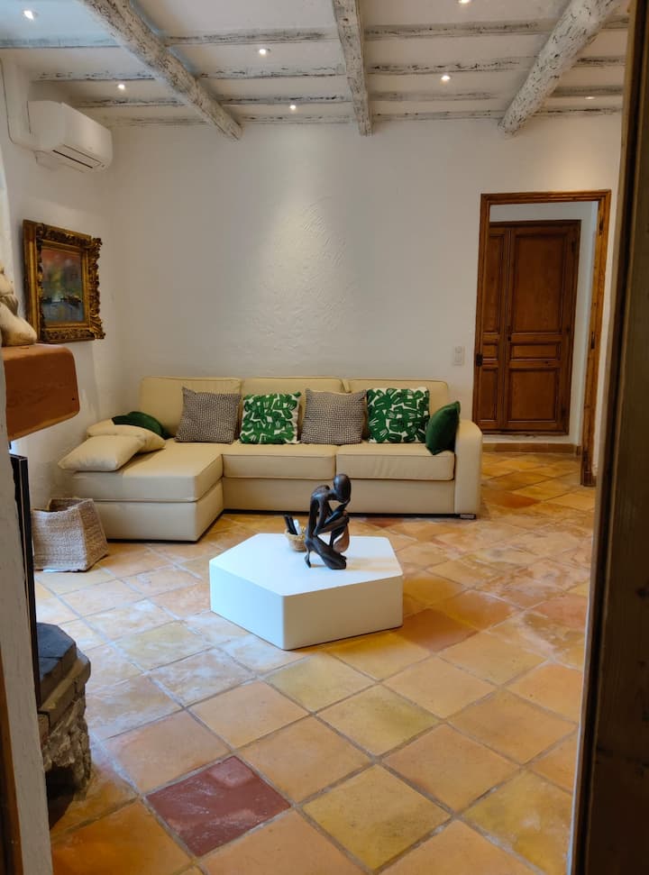 Bas De Villa  Climatisée Avec Jardin  Privé - Antibes