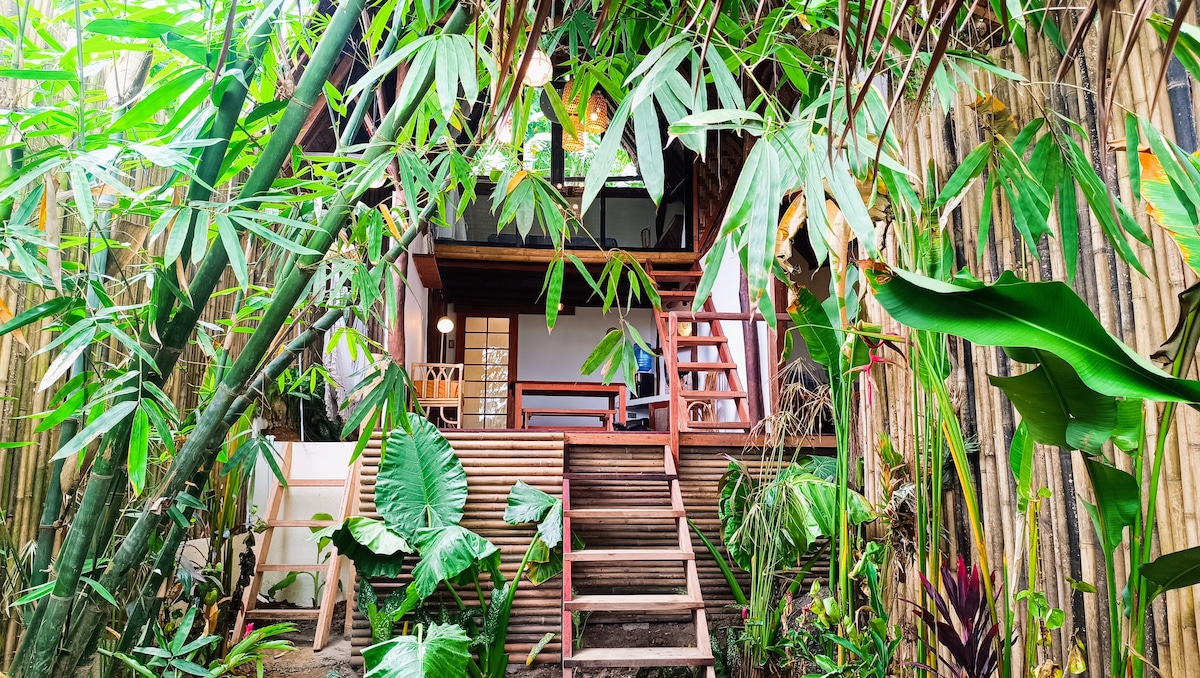 The entrance to Zen Treehouse is framed by lush tropical plants and bamboo. A wooden staircase leads up to the elevated home, featuring a balcony with wooden railing. The structure displays a minimalist design with large windows, blending harmoniously into the surrounding greenery.