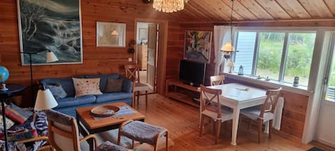 Top performing Airbnb: cottage with beautiful sea view and private sandy beach in Östhammar