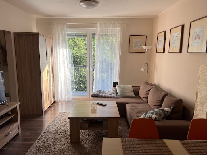 Apartmán Kykula - Terchová