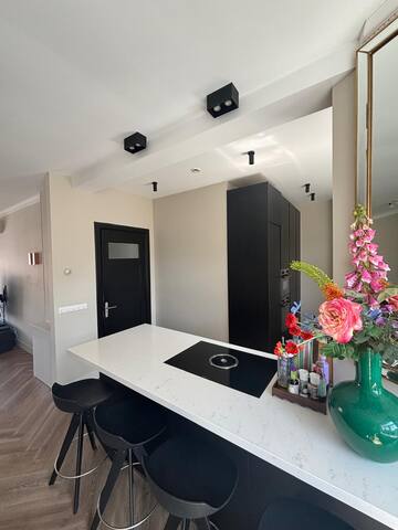 Spacious Apartment in Amsterdam gallery image 4