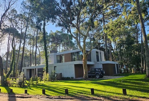 Amazing house in the woods