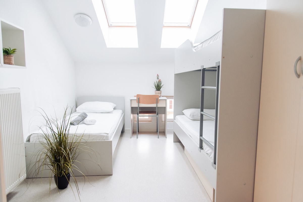 A bright room features two beds, one bunk and one twin, arranged against white walls. A desk with a chair is positioned centrally, while a small potted plant adds a touch of greenery. Natural light filters through two skylights above.