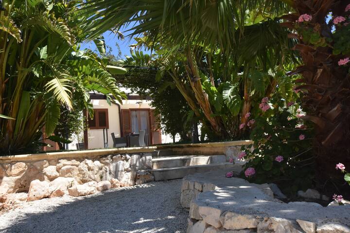 Masseria Giulio – Albicocca