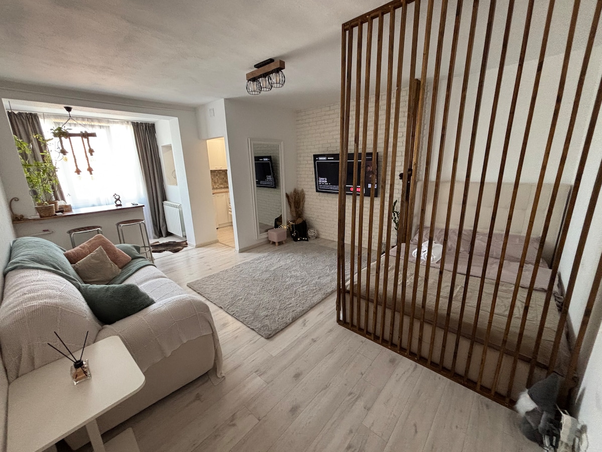 An inviting living space features a cozy sofa with cushions, a light area rug, and a wooden partition separating the sleeping area. Two large wall-mounted TVs are visible, and natural light floods in from a nearby window. A dining space is situated in the background.