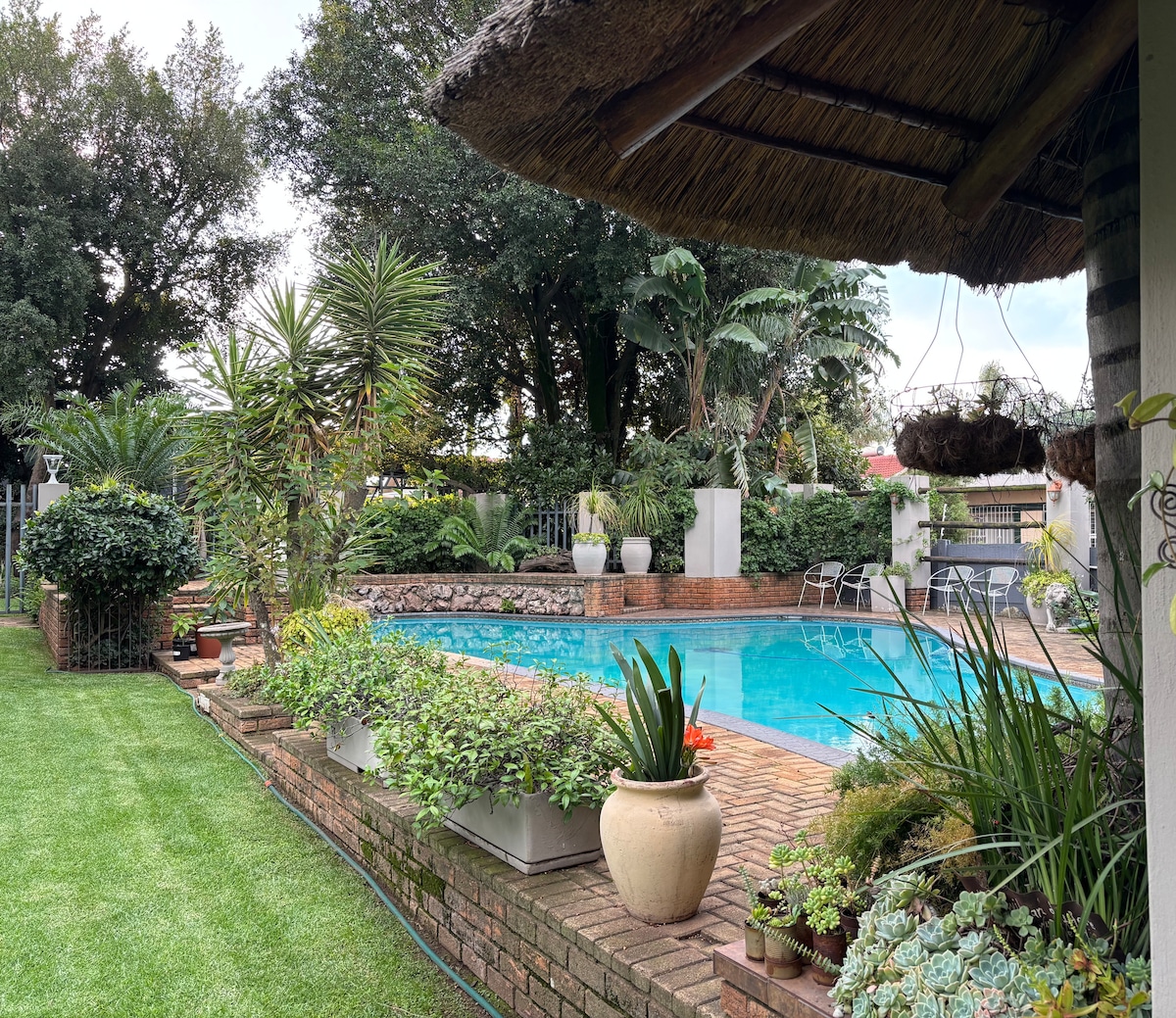A large swimming pool is surrounded by a beautifully landscaped garden featuring various plants and trees. A thatched roof provides shade to part of the pool area, while comfortable lounge chairs are positioned nearby. The serene environment is complemented by lush greenery and ornamental pots.