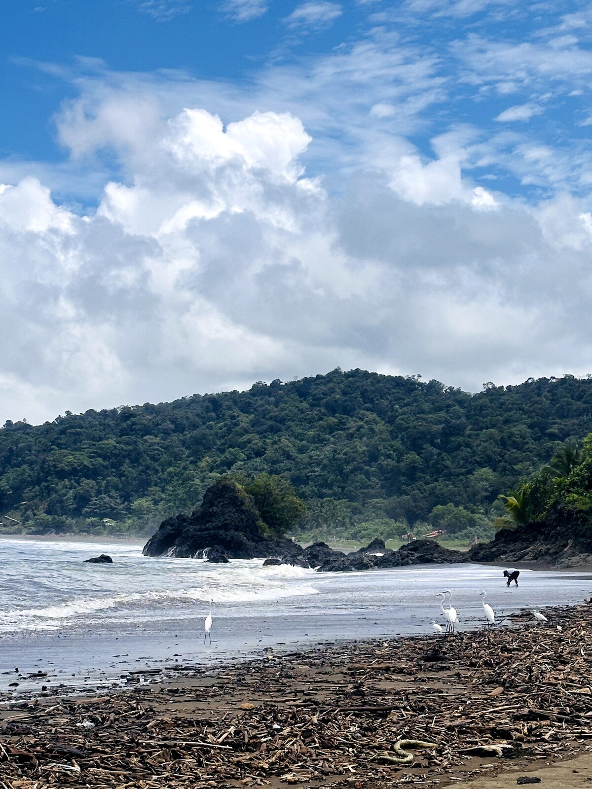 Oceanfront: Private Room El Valle - Bahia - Hotels for Rent in El Valle,  Chocó, Colombia - Airbnb