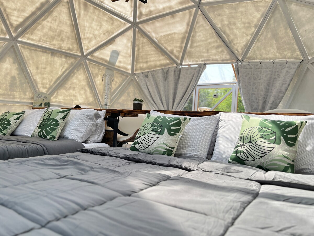 An inviting interior of the geodesic dome features two spacious beds, each adorned with plush bedding and decorative pillows showcasing a tropical leaf design. Natural light filters in through large windows, accompanied by soft curtains that add a touch of warmth to the space.