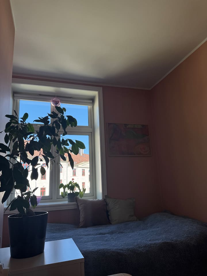 Slaapkamer 2 heeft een iets kleiner bed, maar ook hier kunnen twee personen goed slapen. De slaapkamer kijkt uit op de achtertuin.