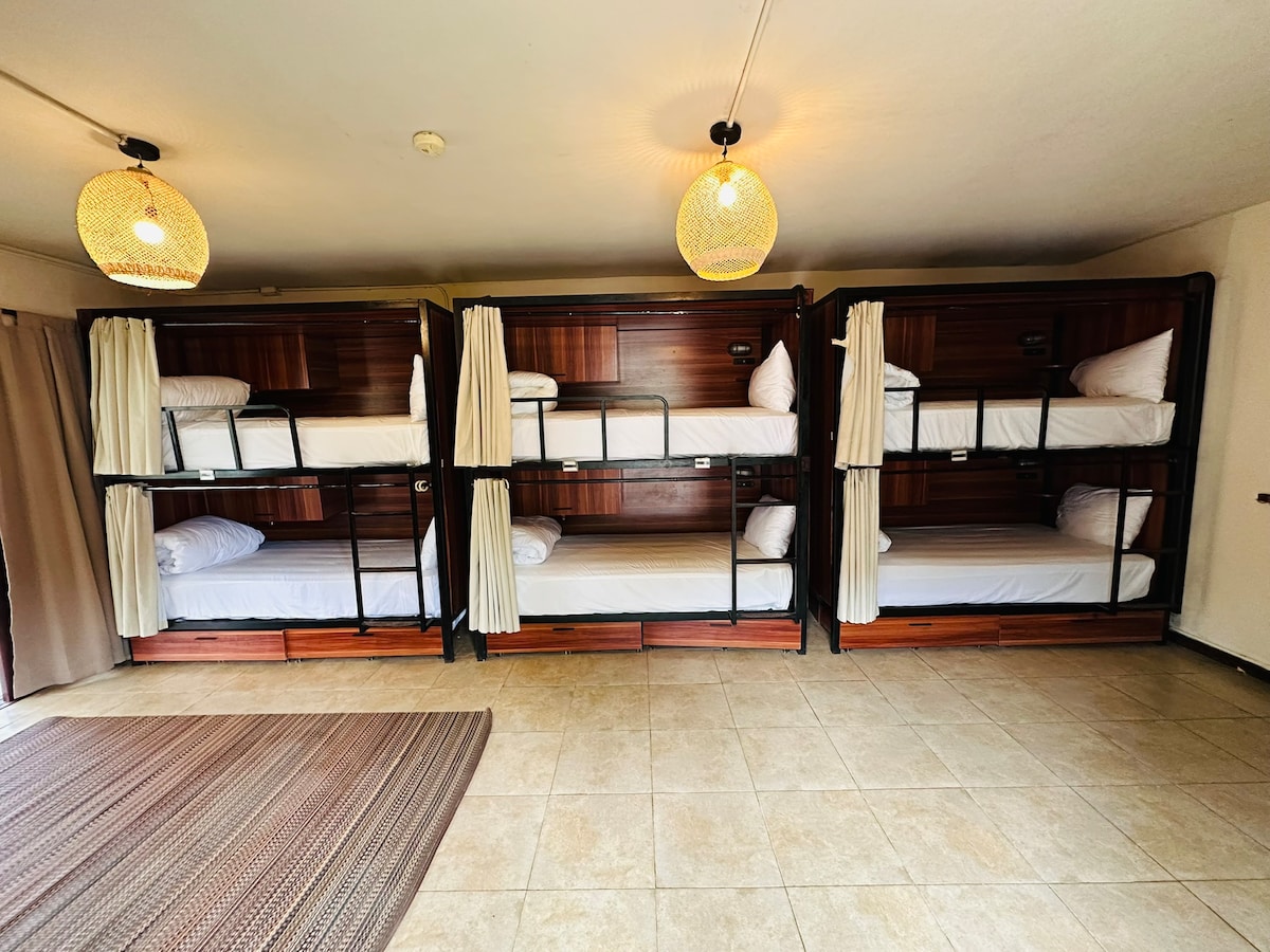 A shared mixed dormitory features four sets of bunk beds, each with a light and privacy curtains. The wooden accents are complemented by neutral-toned bedding. A large area rug lies on the tiled floor, and overhead pendant lights provide illumination.