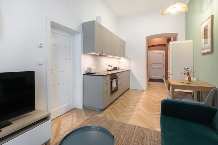 Fresh New 1 Bedroom Apt. In Vinohrady - Prague