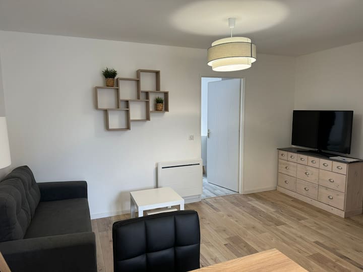 Appartement Moderne - Louhans