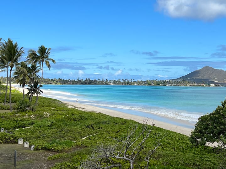 Discover Kailua Beach Park: Oahu's Secret Beach Haven | The