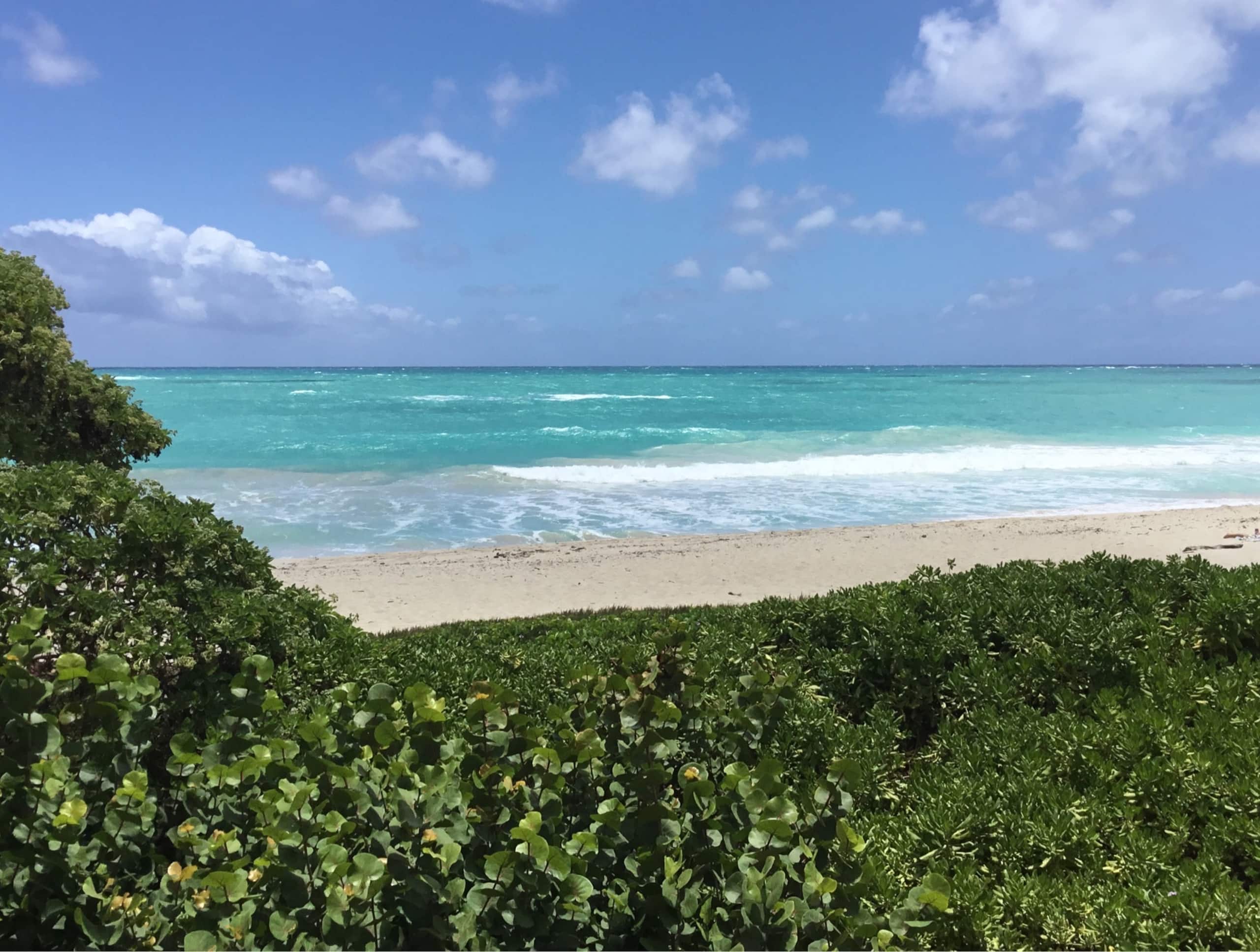 Guesthouse in Kailua · ★4.78 · 2 bedrooms · 3 beds · 1 private bath - Image 4