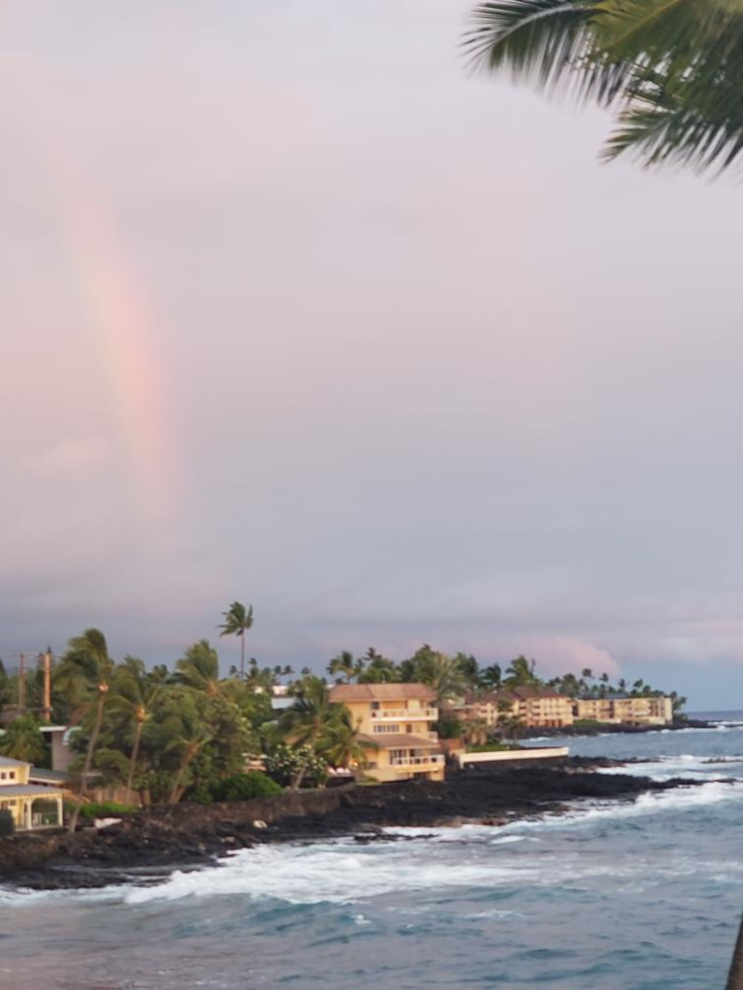 Condo in Kailua-Kona · ★5.0 · 1 bedroom · 2 beds · 1 bath - Image 72