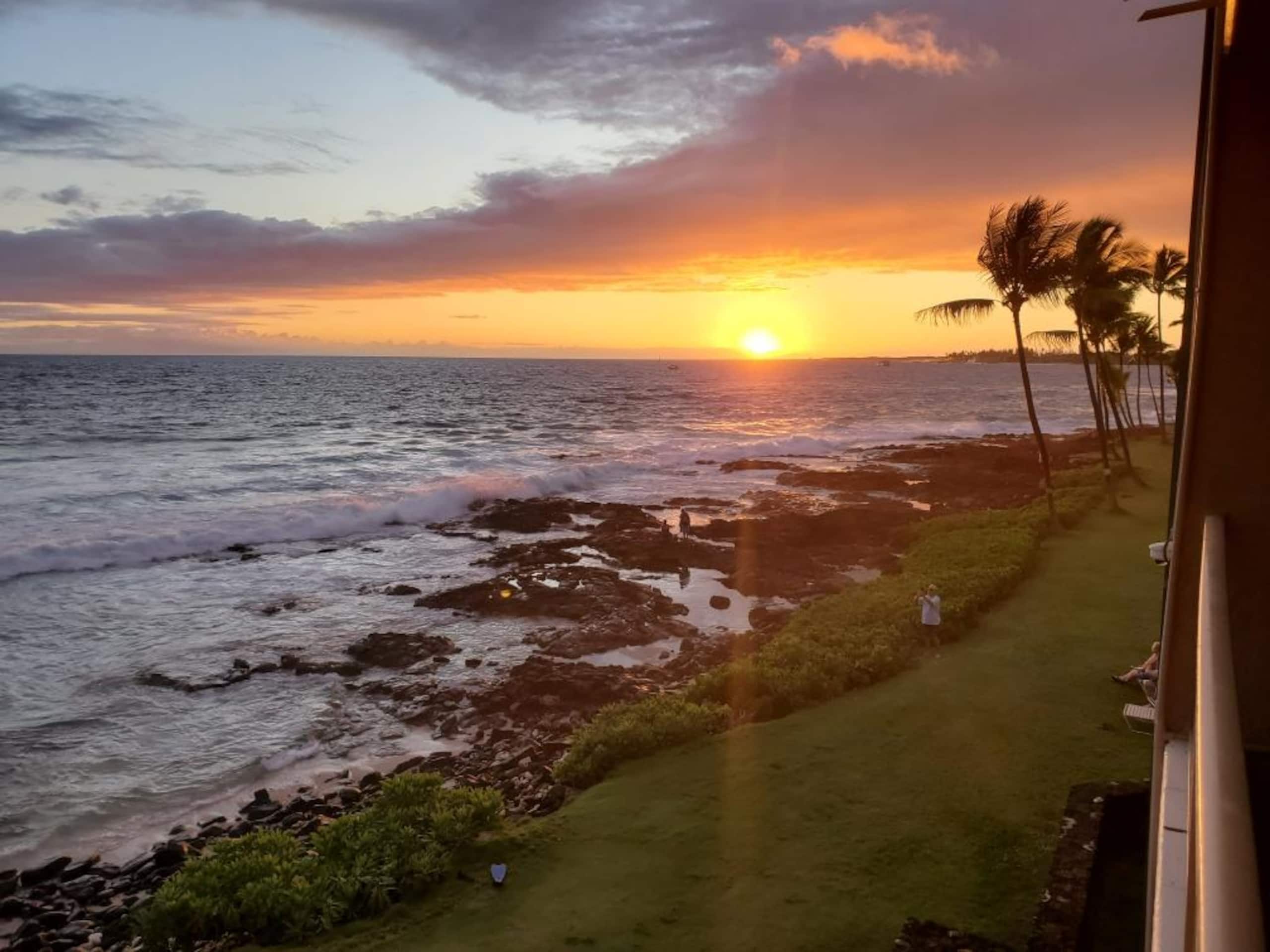 Condo in Kailua-Kona · ★5.0 · 1 bedroom · 2 beds · 1 bath - Image 69