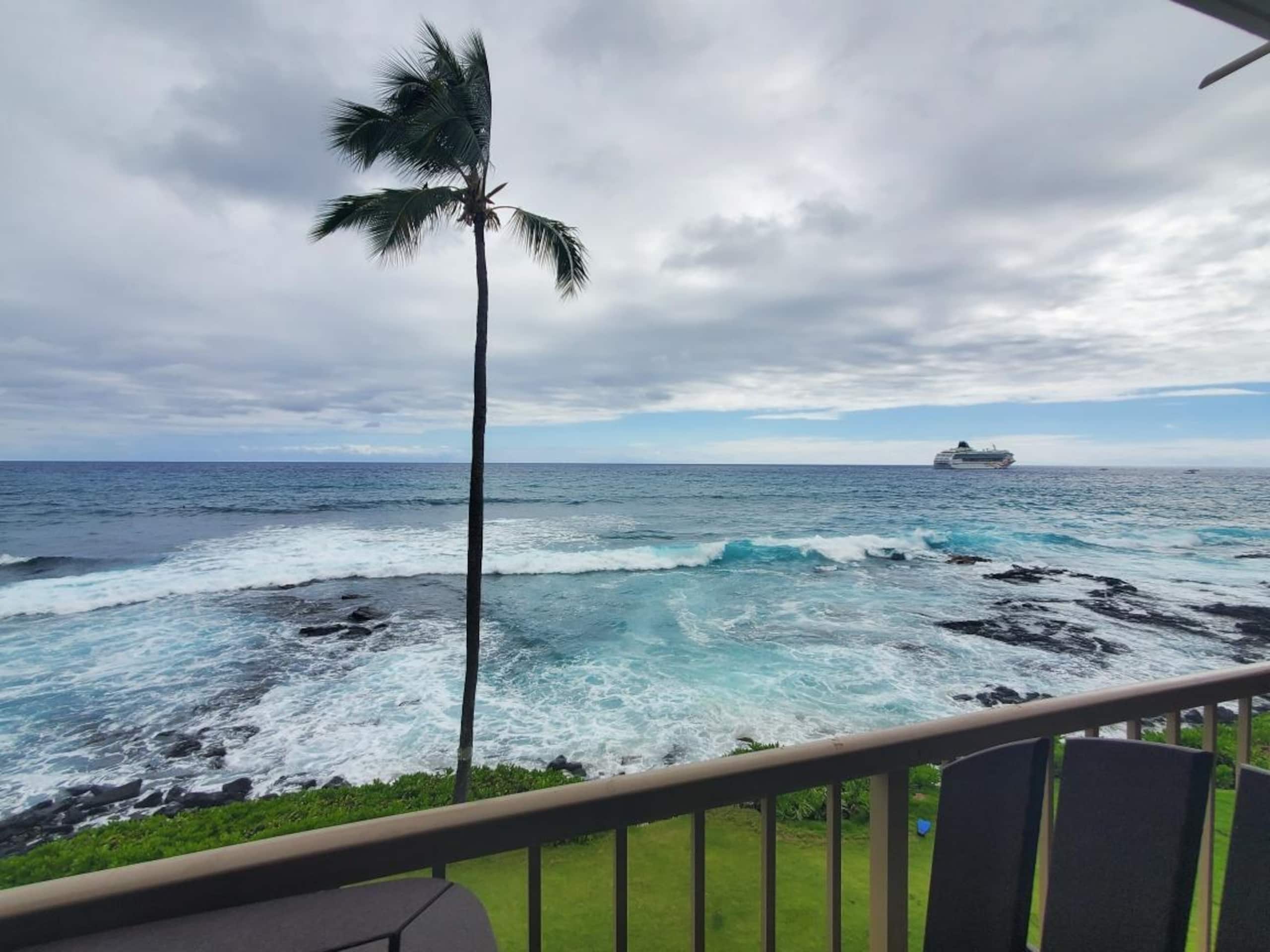 Condo in Kailua-Kona · ★5.0 · 1 bedroom · 2 beds · 1 bath - Image 48