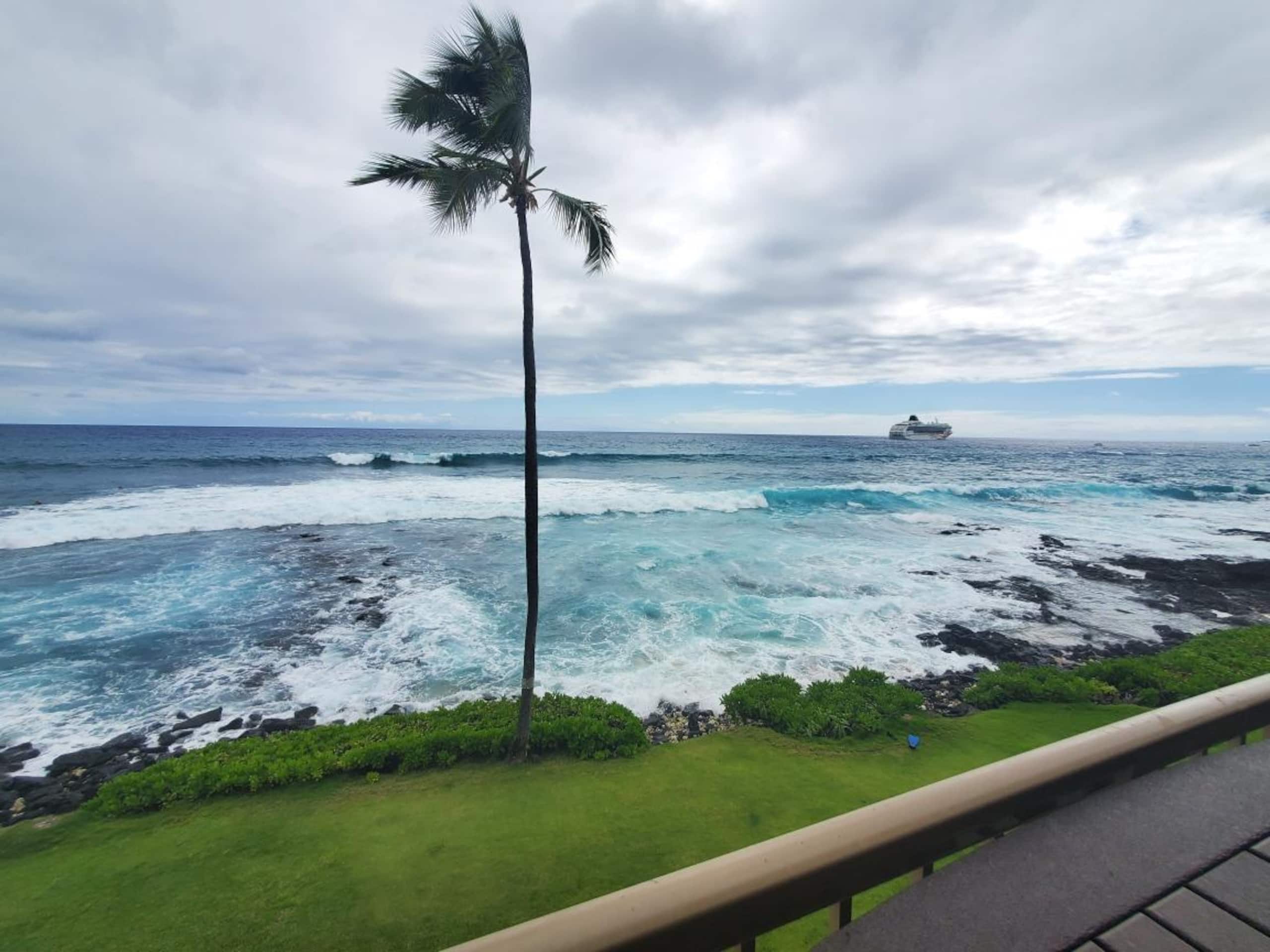 Condo in Kailua-Kona · ★5.0 · 1 bedroom · 2 beds · 1 bath - Image 53