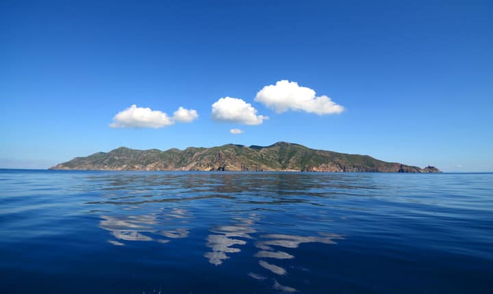 Capraia Isola Paradiso Ecologico - Capraia Isola
