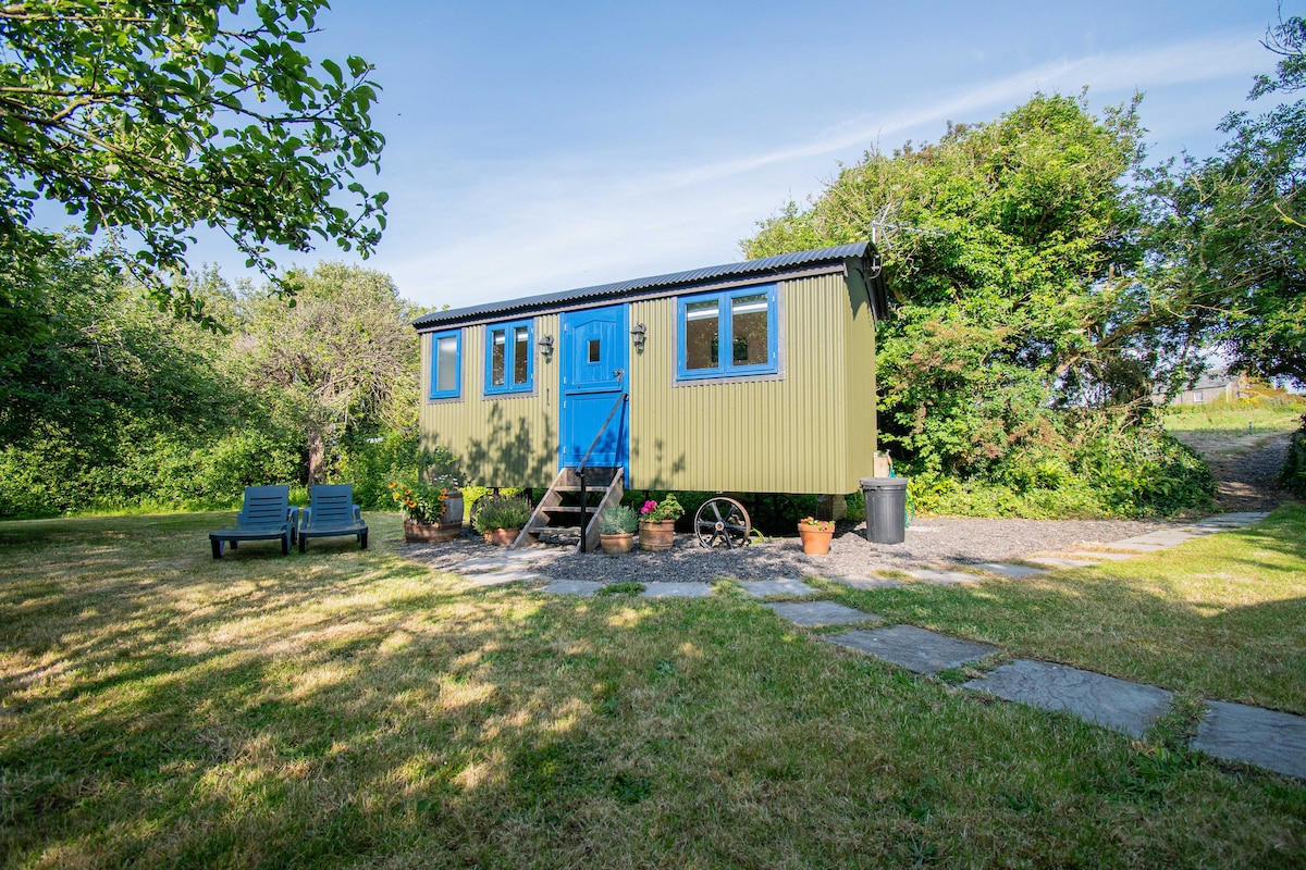 A charming shepherd's hut is displayed against a backdrop of greenery. The structure features bright blue doors and window frames, complemented by a green exterior. A pathway leads to the entrance, flanked by potted plants. Wooden seating is positioned on the lawn, inviting relaxation.