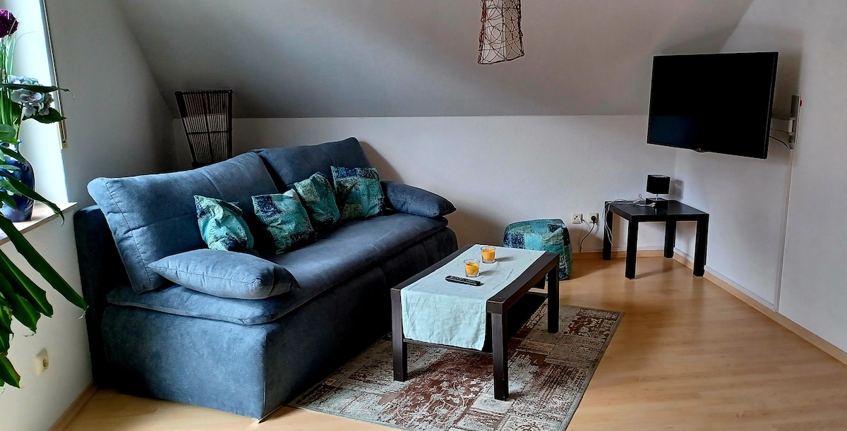 La cocina abierta se fusiona con el amplio salón. En el salón hay un sofá que se puede convertir en una cama doble.