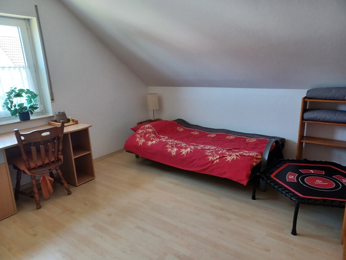 El alojamiento para dormir es un sofá plegable con una zona para dormir de 120 cm.
Esta habitación también es adecuada como estudio.