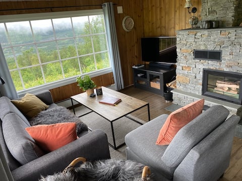 Successful Airbnb property: Cozy cabin in Valdres in Vestre Slidre