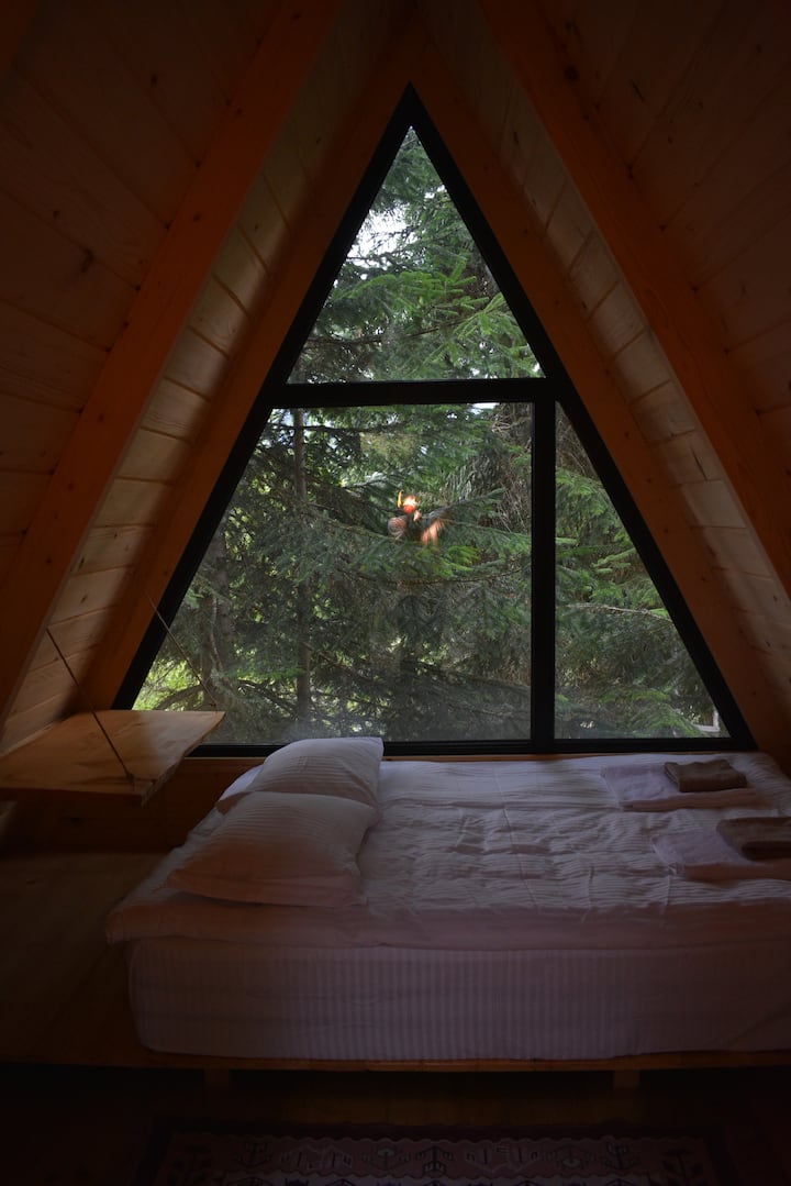 Kirari Mount Camp - Hut 1 - Georgia