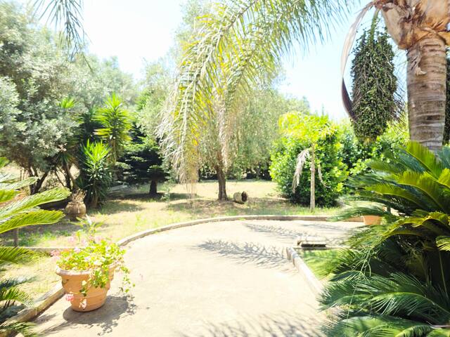 Vacanza in Cilento managed Airbnb listing 1