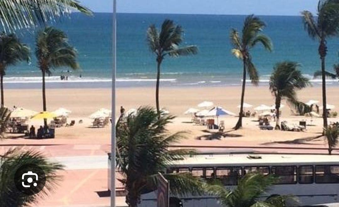 A view of a sandy beach is depicted, featuring various umbrellas and lounge chairs arranged along the shore. Gentle waves can be seen lapping at the beach, while palm trees sway in the breeze, creating a tranquil coastal scene.