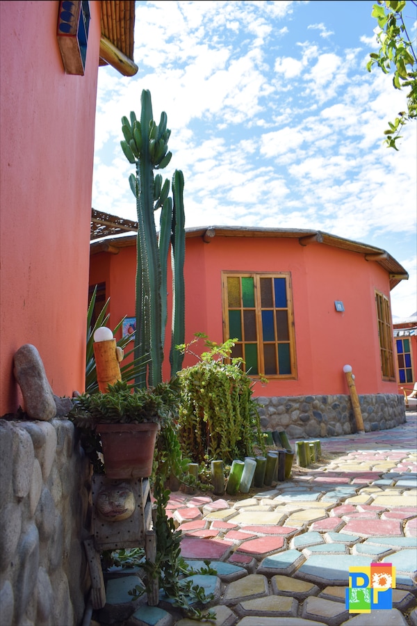 The pathway features colorful stones, leading to vibrant circular structures painted in warm hues. A tall cactus and potted plants are arranged near the entrance, adding a touch of greenery. Large windows with multi-colored frames reflect the sunny sky above.